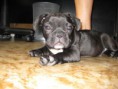 /album/fotogaleria/img-0614-3-jpg/